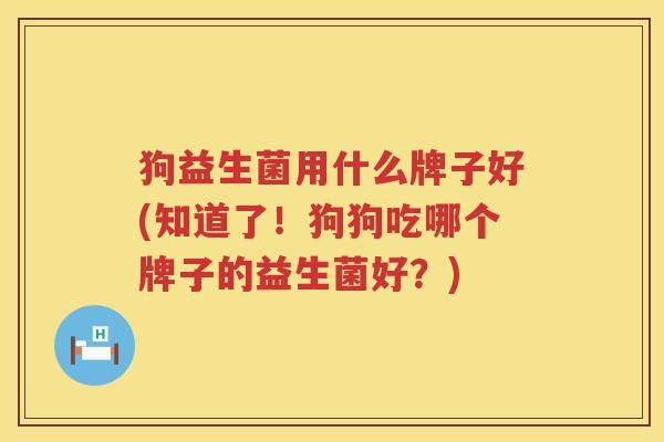 狗益生菌用什么牌子好(知道了！狗狗吃哪个牌子的益生菌好？)