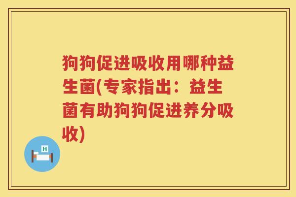 狗狗促进吸收用哪种益生菌(专家指出：益生菌有助狗狗促进养分吸收)