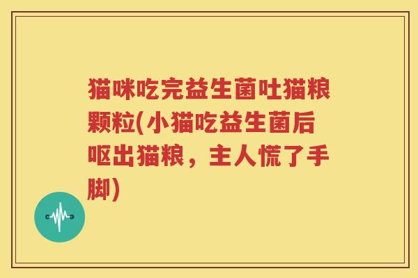 猫咪吃完益生菌吐猫粮颗粒(小猫吃益生菌后呕出猫粮，主人慌了手脚)
