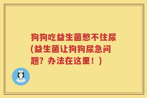 狗狗吃益生菌憋不住尿(益生菌让狗狗尿急问题？办法在这里！)