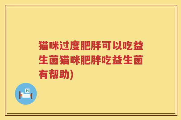 猫咪过度肥胖可以吃益生菌猫咪肥胖吃益生菌有帮助)