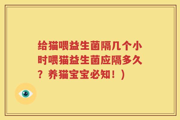 给猫喂益生菌隔几个小时喂猫益生菌应隔多久？养猫宝宝必知！)