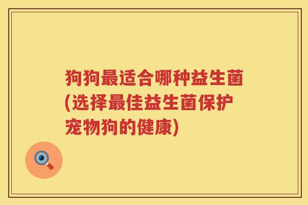 狗狗最适合哪种益生菌(选择最佳益生菌保护宠物狗的健康)