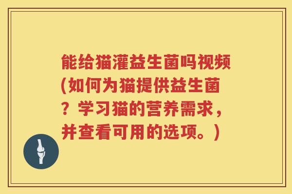 能给猫灌益生菌吗视频(如何为猫提供益生菌？学习猫的营养需求，并查看可用的选项。)