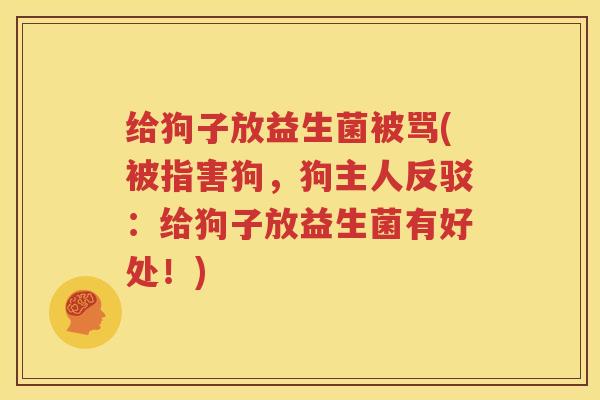 给狗子放益生菌被骂(被指害狗，狗主人反驳：给狗子放益生菌有好处！)