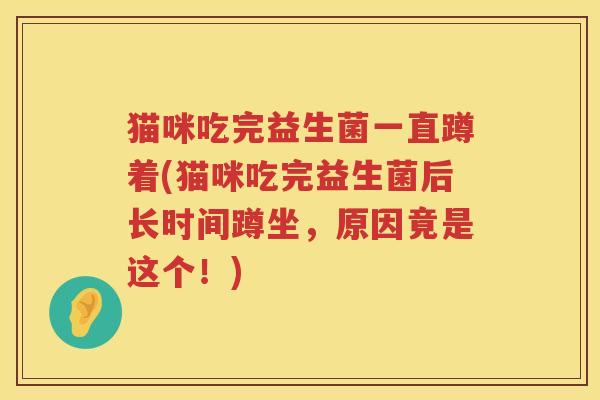 猫咪吃完益生菌一直蹲着(猫咪吃完益生菌后长时间蹲坐，原因竟是这个！)