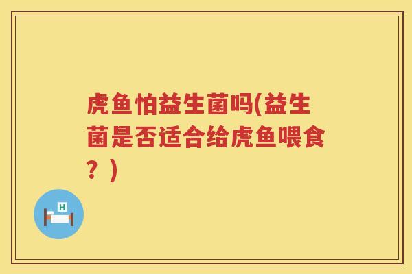 虎鱼怕益生菌吗(益生菌是否适合给虎鱼喂食？)