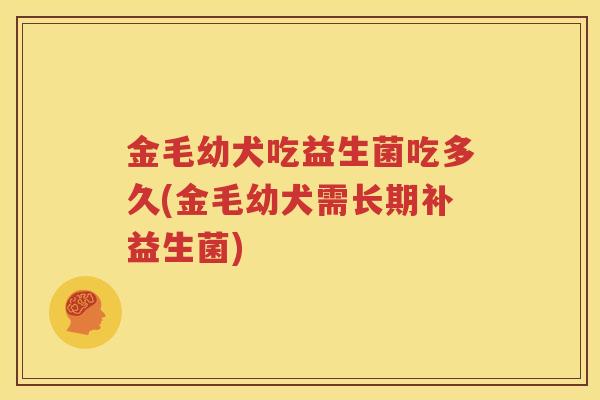 金毛幼犬吃益生菌吃多久(金毛幼犬需长期补益生菌)