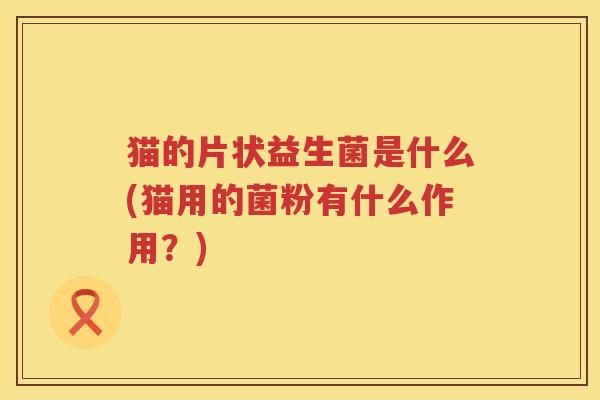 猫的片状益生菌是什么(猫用的菌粉有什么作用？)