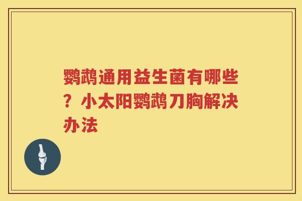 鹦鹉通用益生菌有哪些？小太阳鹦鹉刀胸解决办法