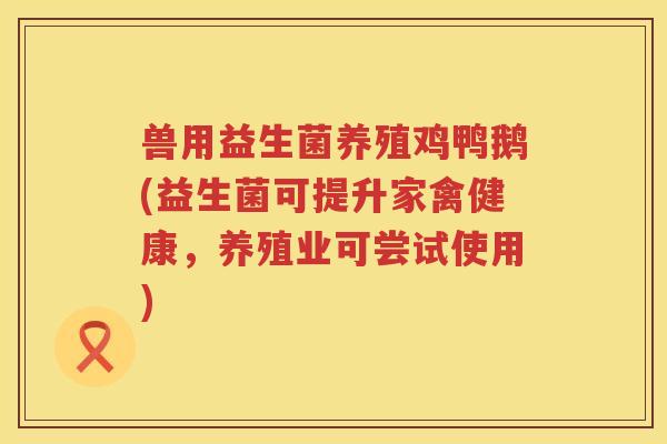 兽用益生菌养殖鸡鸭鹅(益生菌可提升家禽健康，养殖业可尝试使用)