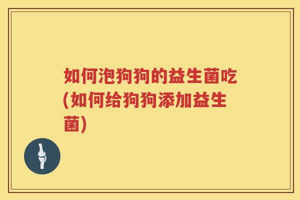 如何泡狗狗的益生菌吃(如何给狗狗添加益生菌)