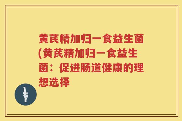 黄芪精加归一食益生菌(黄芪精加归一食益生菌：促进肠道健康的理想选择
