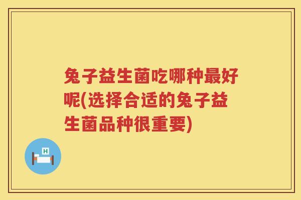 兔子益生菌吃哪种最好呢(选择合适的兔子益生菌品种很重要)