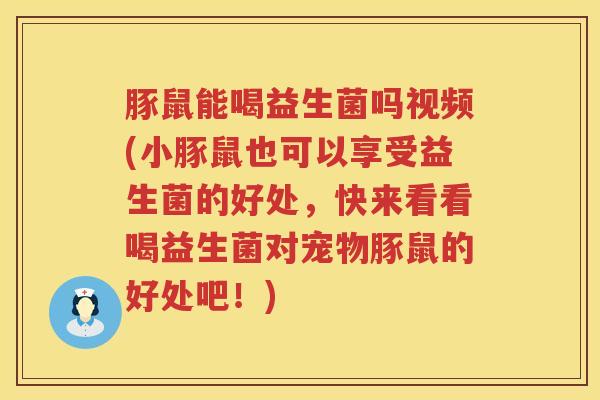 豚鼠能喝益生菌吗视频(小豚鼠也可以享受益生菌的好处，快来看看喝益生菌对宠物豚鼠的好处吧！)