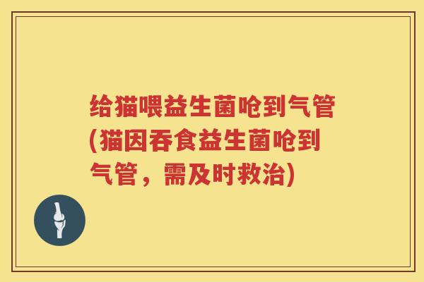 给猫喂益生菌呛到气管(猫因吞食益生菌呛到气管，需及时救治)