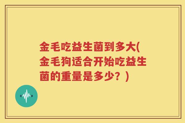 金毛吃益生菌到多大(金毛狗适合开始吃益生菌的重量是多少？)