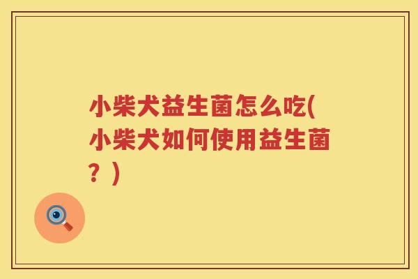 小柴犬益生菌怎么吃(小柴犬如何使用益生菌？)