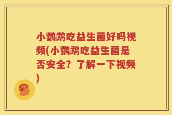小鹦鹉吃益生菌好吗视频(小鹦鹉吃益生菌是否安全？了解一下视频)