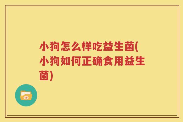 小狗怎么样吃益生菌(小狗如何正确食用益生菌)