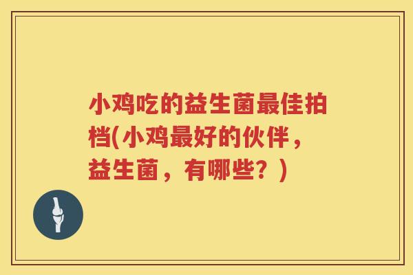 小鸡吃的益生菌最佳拍档(小鸡最好的伙伴，益生菌，有哪些？)