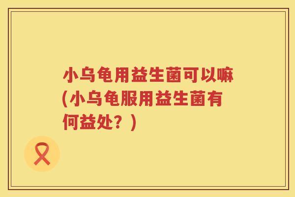 小乌龟用益生菌可以嘛(小乌龟服用益生菌有何益处？)