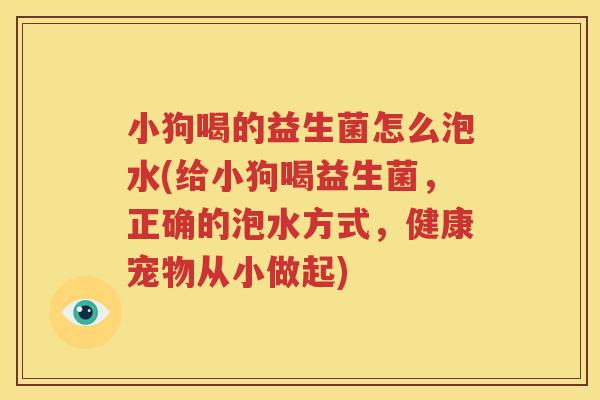 小狗喝的益生菌怎么泡水(给小狗喝益生菌，正确的泡水方式，健康宠物从小做起)
