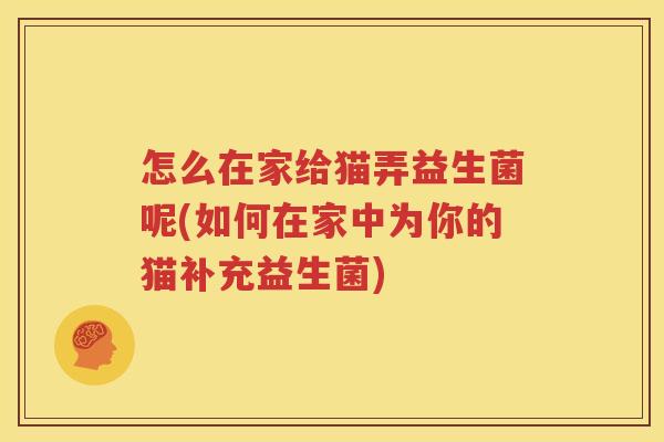 怎么在家给猫弄益生菌呢(如何在家中为你的猫补充益生菌)