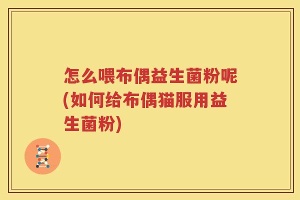 怎么喂布偶益生菌粉呢(如何给布偶猫服用益生菌粉)