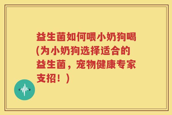 益生菌如何喂小奶狗喝(为小奶狗选择适合的益生菌，宠物健康专家支招！)