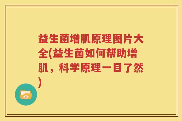 益生菌增肌原理图片大全(益生菌如何帮助增肌，科学原理一目了然)