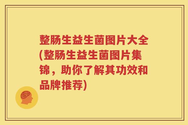 整肠生益生菌图片大全(整肠生益生菌图片集锦，助你了解其功效和品牌推荐)