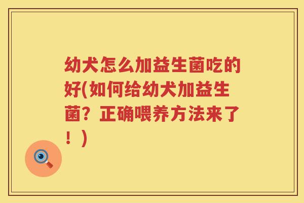 幼犬怎么加益生菌吃的好(如何给幼犬加益生菌？正确喂养方法来了！)