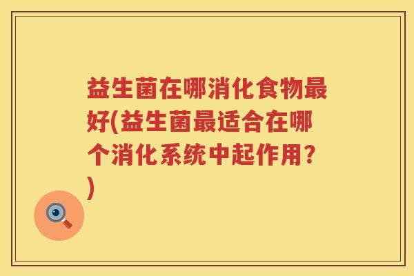益生菌在哪消化食物最好(益生菌最适合在哪个消化系统中起作用？)