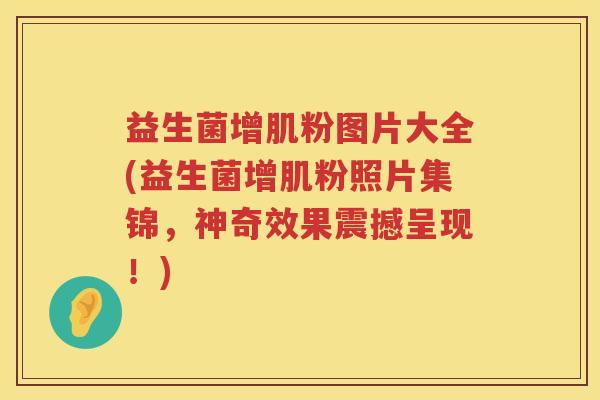 益生菌增肌粉图片大全(益生菌增肌粉照片集锦，神奇效果震撼呈现！)