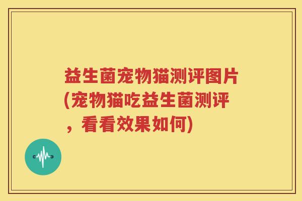 益生菌宠物猫测评图片(宠物猫吃益生菌测评，看看效果如何)