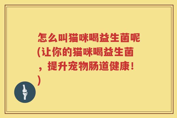 怎么叫猫咪喝益生菌呢(让你的猫咪喝益生菌，提升宠物肠道健康！)