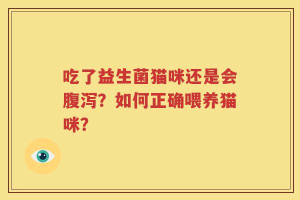 吃了益生菌猫咪还是会腹泻？如何正确喂养猫咪？