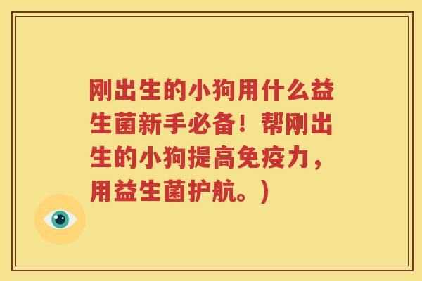 刚出生的小狗用什么益生菌新手必备！帮刚出生的小狗提高免疫力，用益生菌护航。)