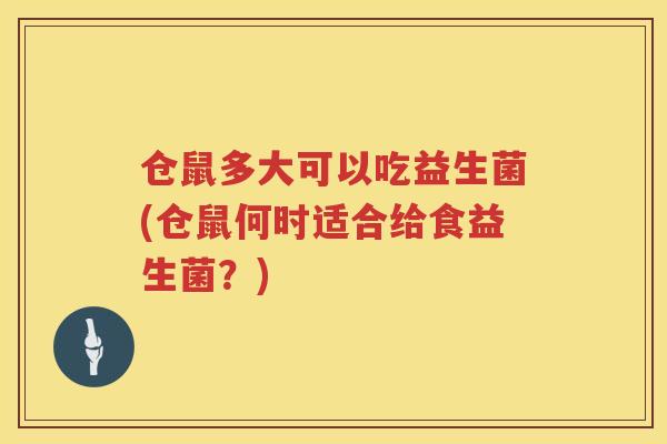 仓鼠多大可以吃益生菌(仓鼠何时适合给食益生菌？)