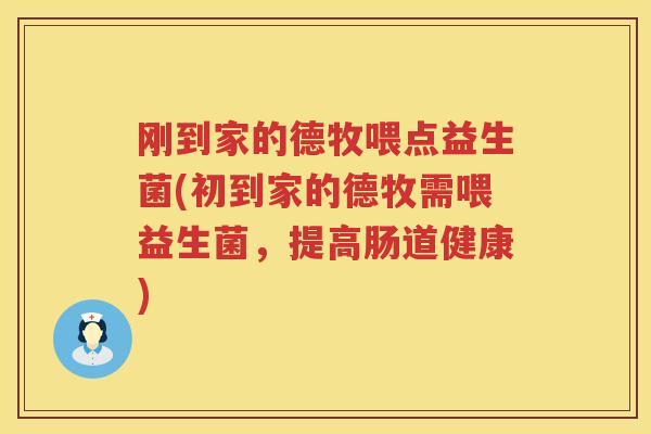 刚到家的德牧喂点益生菌(初到家的德牧需喂益生菌，提高肠道健康)