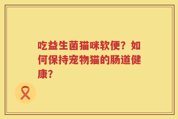 吃益生菌猫咪软便？如何保持宠物猫的肠道健康？