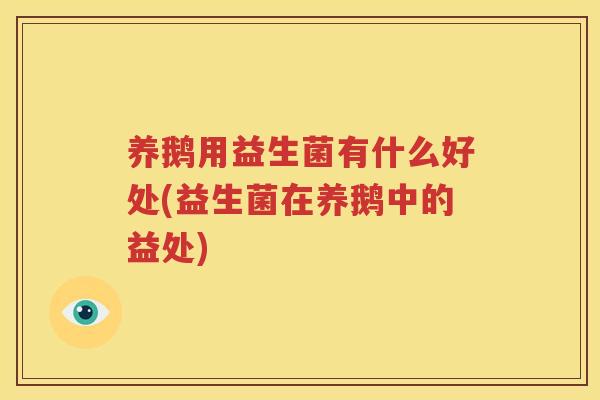 养鹅用益生菌有什么好处(益生菌在养鹅中的益处)
