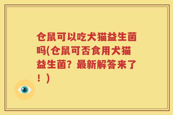 仓鼠可以吃犬猫益生菌吗(仓鼠可否食用犬猫益生菌？最新解答来了！)