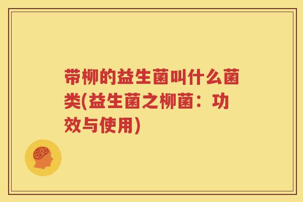带柳的益生菌叫什么菌类(益生菌之柳菌：功效与使用)