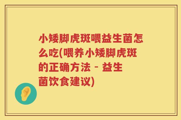 小矮脚虎斑喂益生菌怎么吃(喂养小矮脚虎斑的正确方法 - 益生菌饮食建议)
