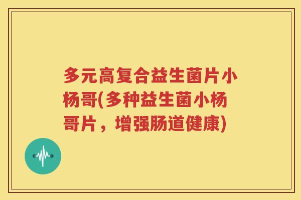 多元高复合益生菌片小杨哥(多种益生菌小杨哥片，增强肠道健康)