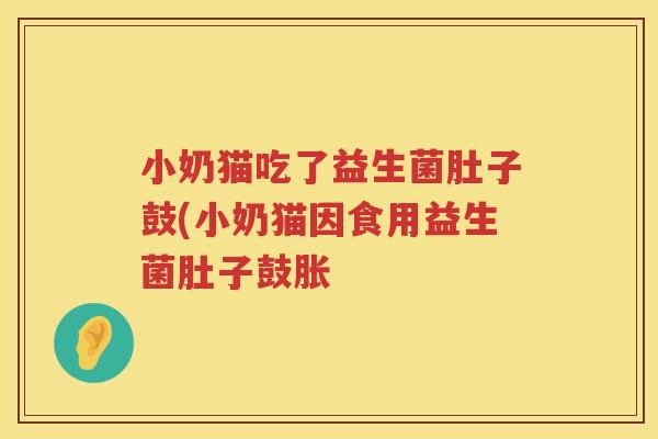 小奶猫吃了益生菌肚子鼓(小奶猫因食用益生菌肚子鼓胀