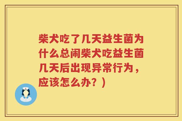 柴犬吃了几天益生菌为什么总闹柴犬吃益生菌几天后出现异常行为，应该怎么办？)