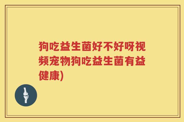 狗吃益生菌好不好呀视频宠物狗吃益生菌有益健康)